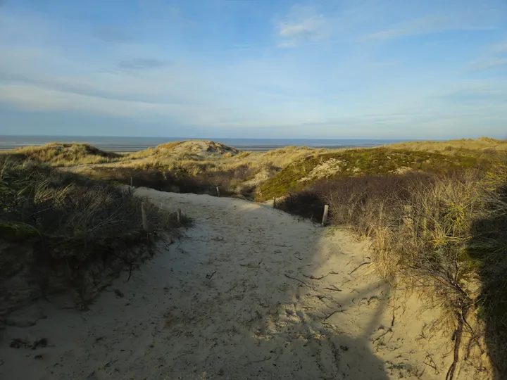 Oostnieuwkerke duinen wandeling in de koude (België)